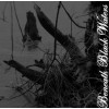 A TASTE FOR DECAY  "Beneath Black Waters" cd 